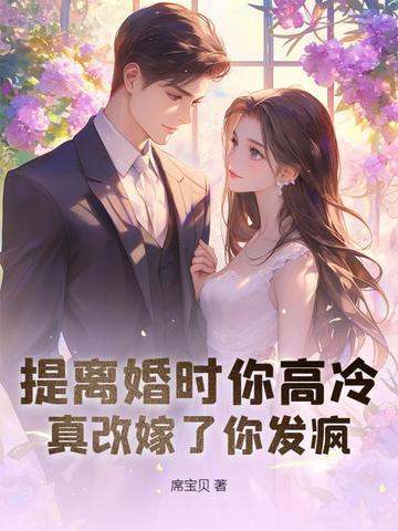 第三章离婚协议