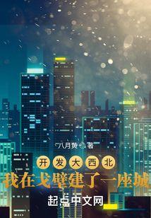 开发大西北:我在戈壁建了一座城